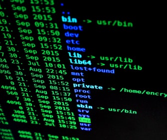 Network Vulnerability Testing